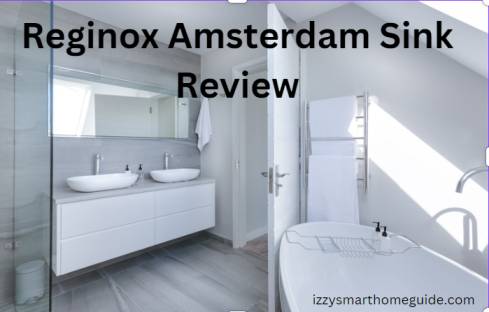 Reginox Amsterdam Sink Review