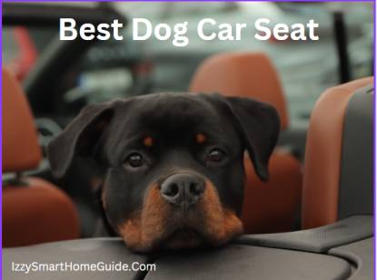 best dog car seat