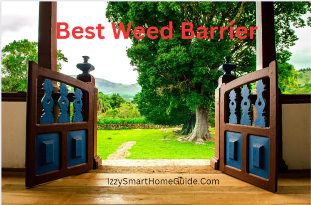 best weed barrier