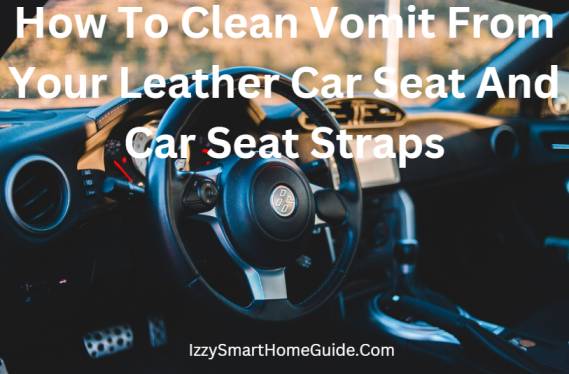 How To Clean Vomit From Leather Car Seat