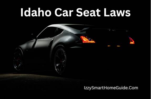 Idaho car seat laws