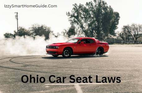 ohio car seat laws